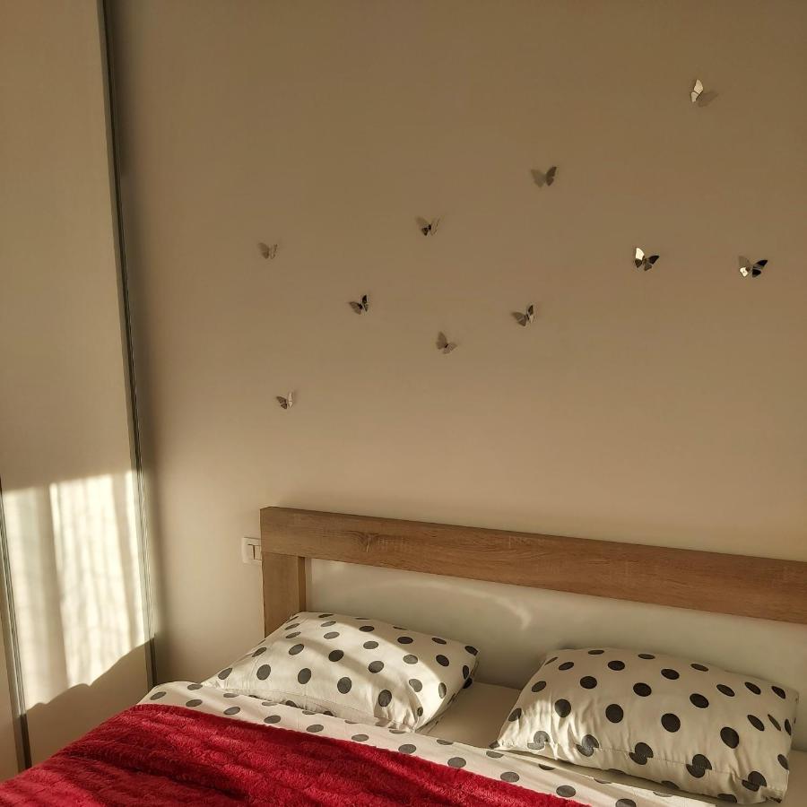 Apartman Miss T 포드고리차 외부 사진